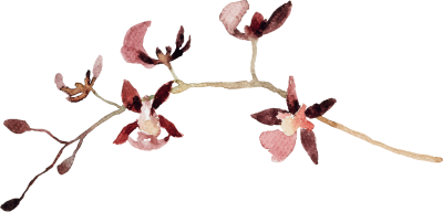 /assets/images/8/flower-1-b332536c.png